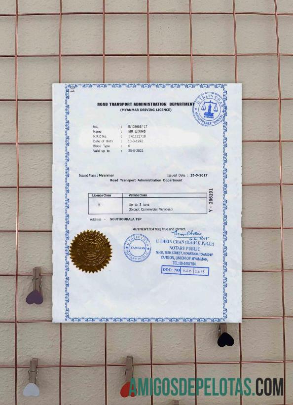 Carteira de motorista de Mianmar Photolook GRATUITO amostra